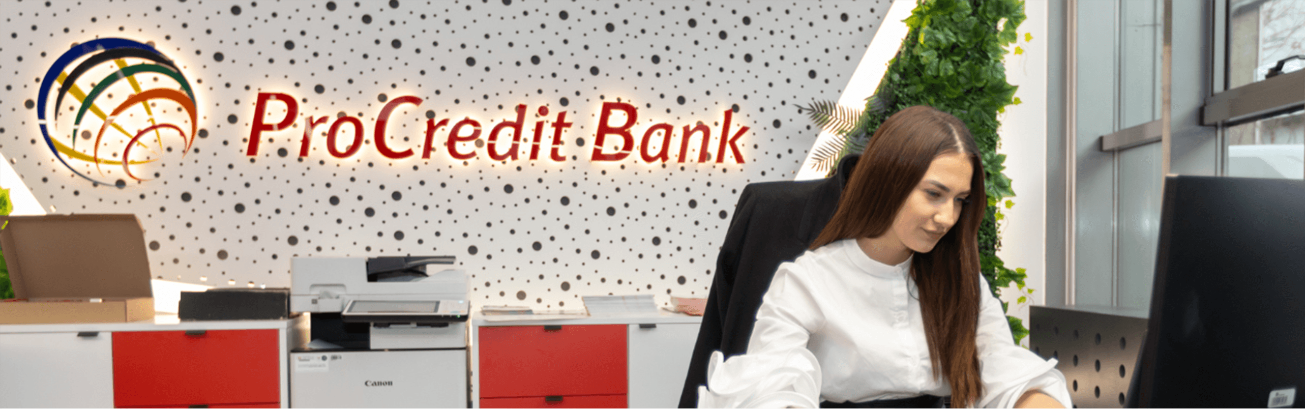 Kreditni analitičar /Underwriter